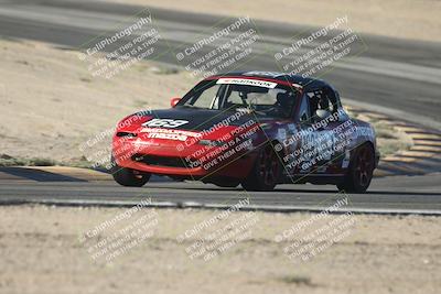 media/Oct-11-2025-Lucky Dog Racing (Sat) [[f5b53147c4]]/5-Fourth Stint/1-Turn 10/